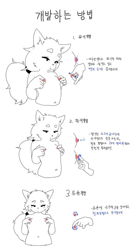 스포르반 유두개발|유두를 개발하는 방법 총정리~!!! [퍼옴] .